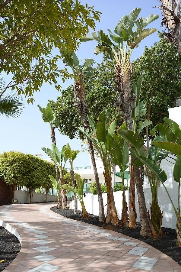 Thb Royal Hotel Playa Blanca  4*, Playa Blanca (Lanzarote)